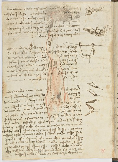 Vogelvluchtcode, c. 1505-06, blad 17 verso door Leonardo da Vinci